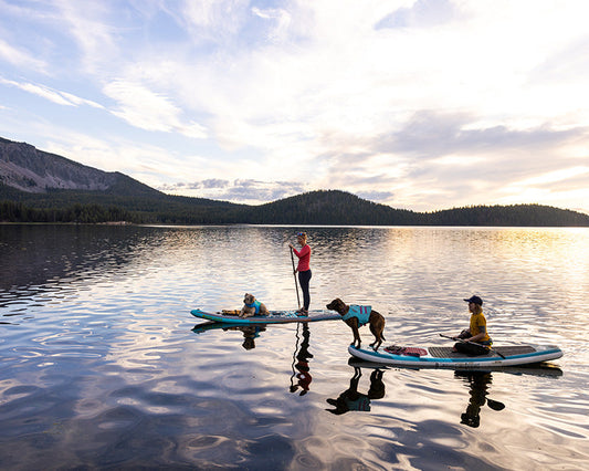 Official Press Release AlphaLife247 Shopify Relaunch featuring paddleboarders on a mountain lake