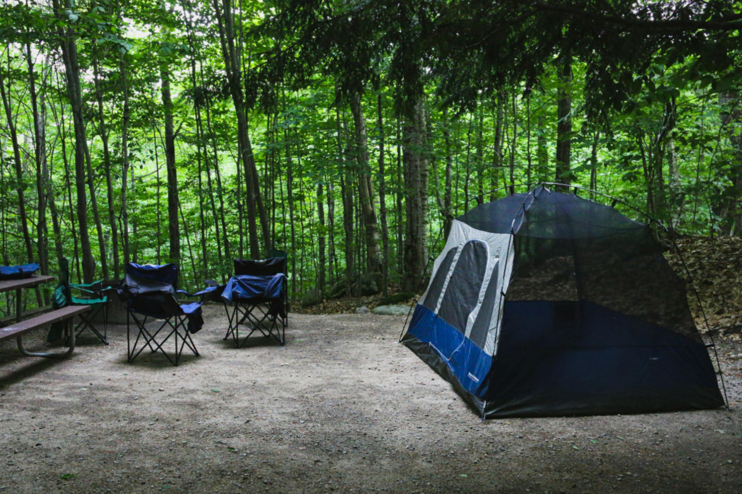 Camping/hiking essentials for established or remote locations for a ready-state or make-shift bivouac - AlphaLife247