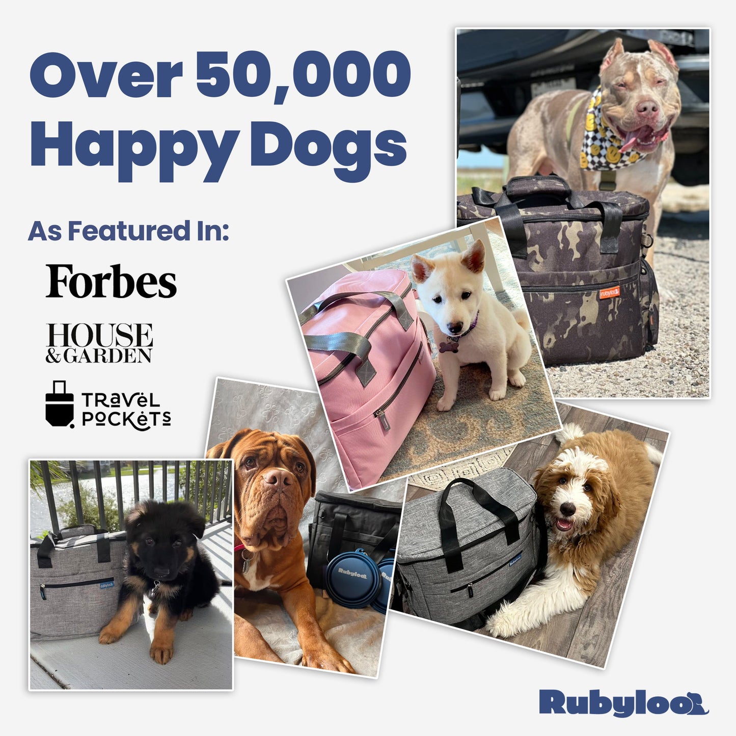 Bag Stowage Pet Supplies & Accessories