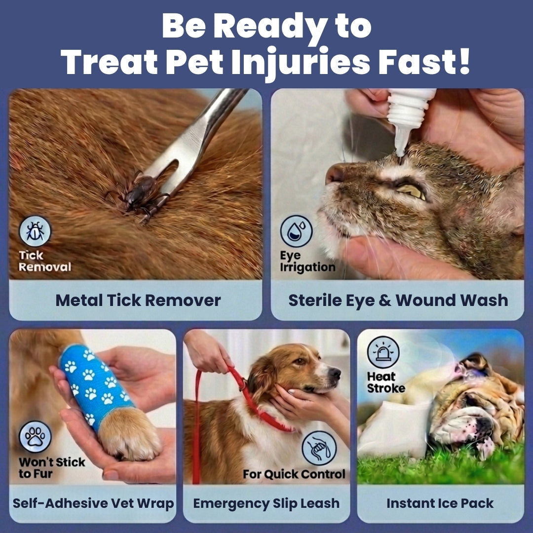 Kit First Aid Pet Dog & Cat w/Vet-Approved Essentials