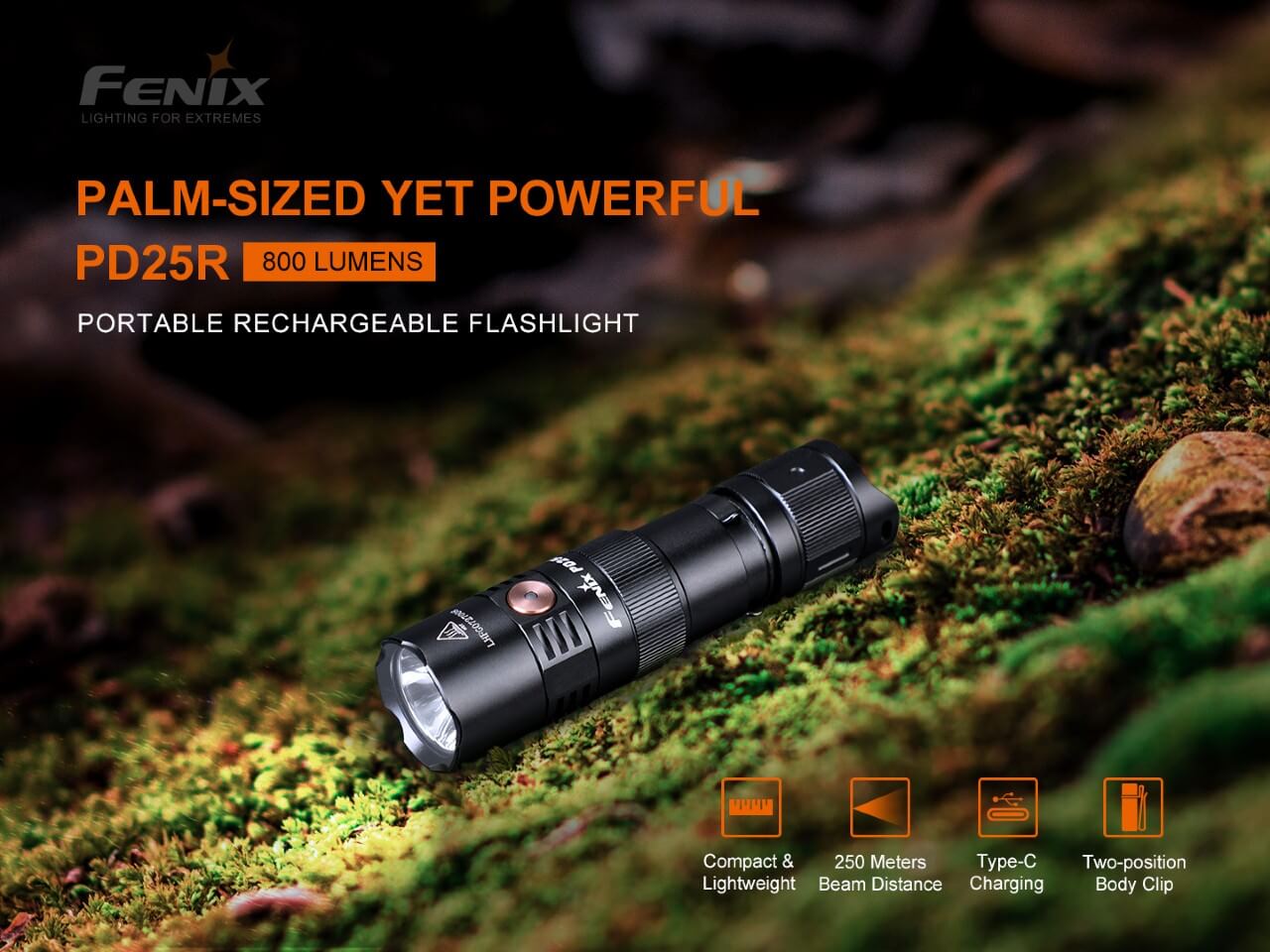 Flashlight LED Rechargeable PD25R
