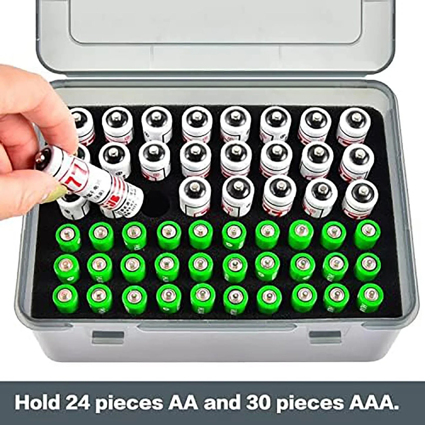Case Storage Battery 54 Count AA/AAA