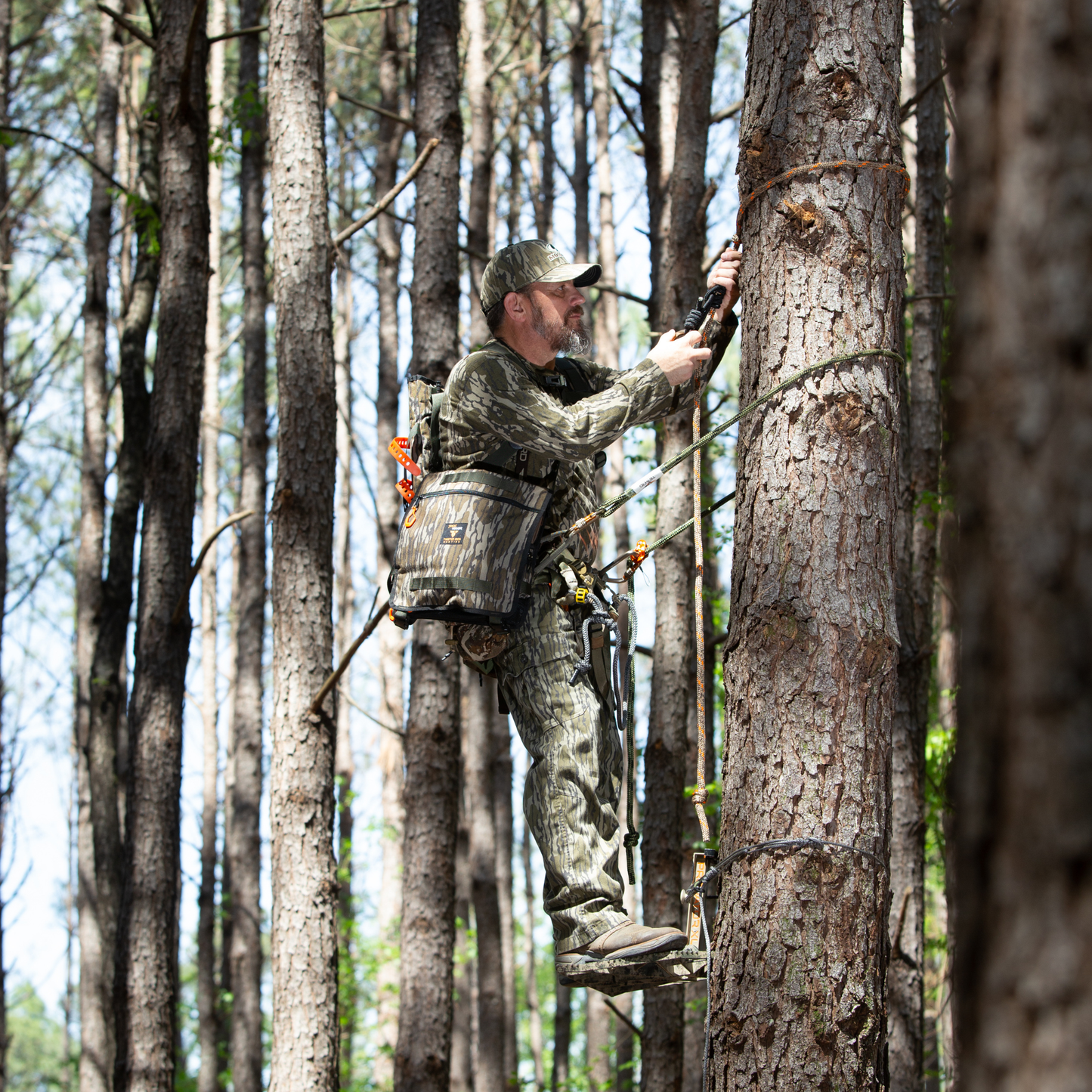 Stand Hunting Tree Hugger BottomLand