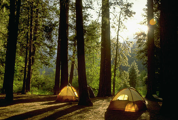 Build your own enclaves & roughing it at remote sites with high-quality outdoor gear - AlphaLife247